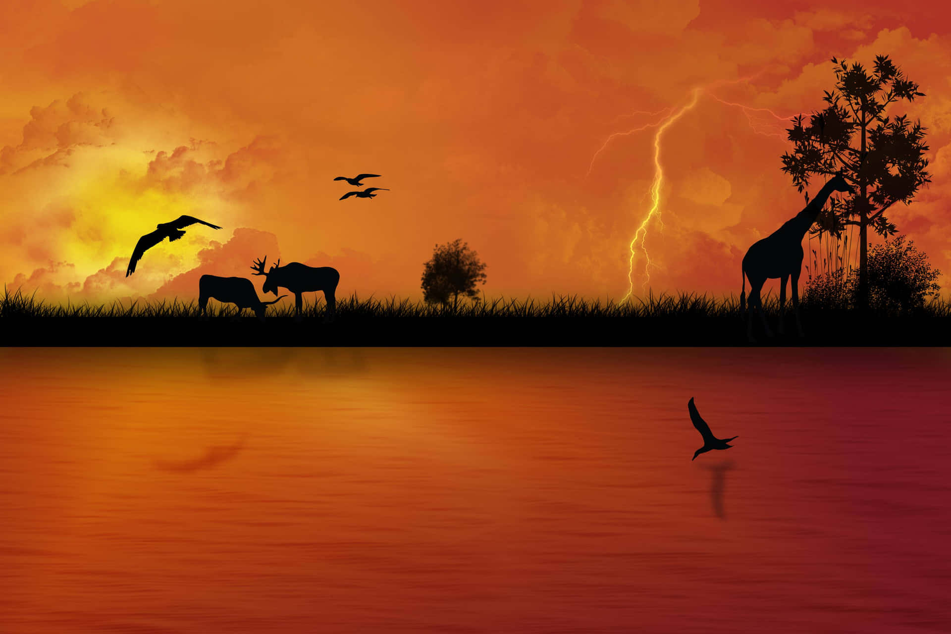 African Safari Sunset Lightning Scene Wallpaper