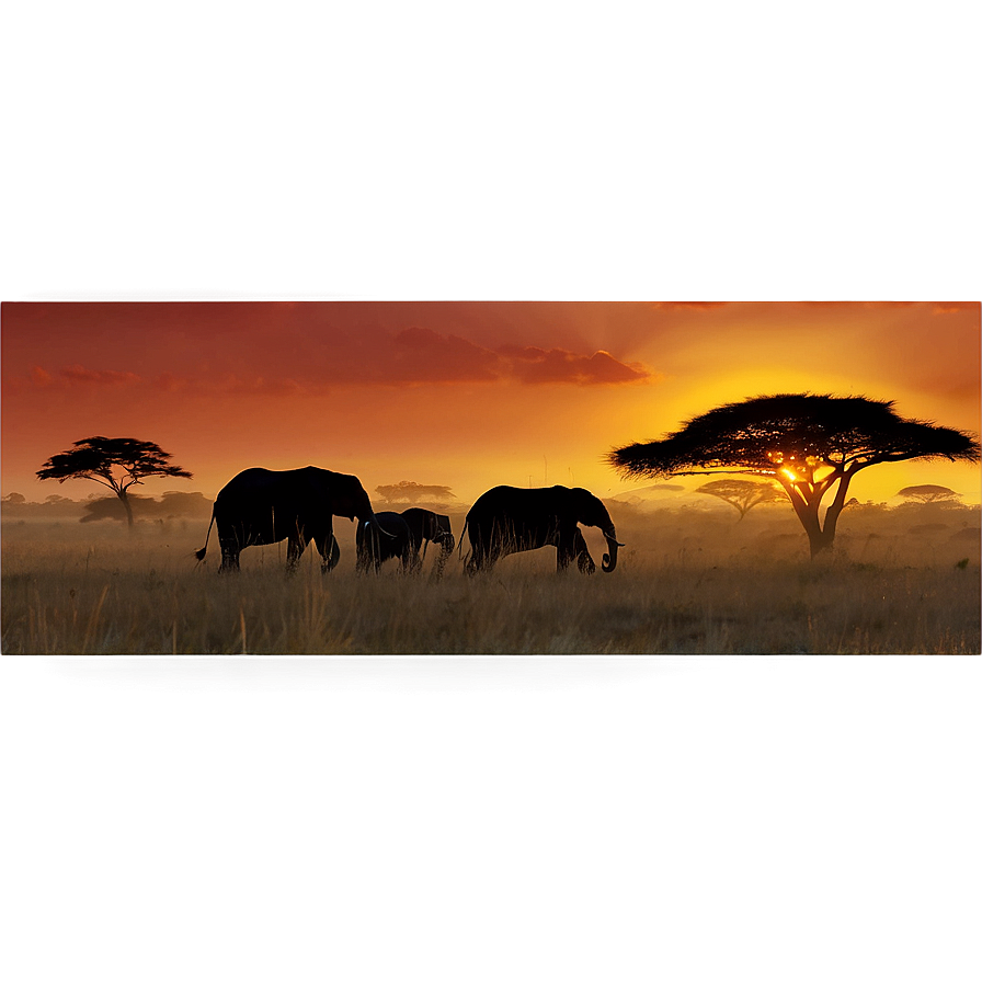 African Safari Sunset Png 22 PNG