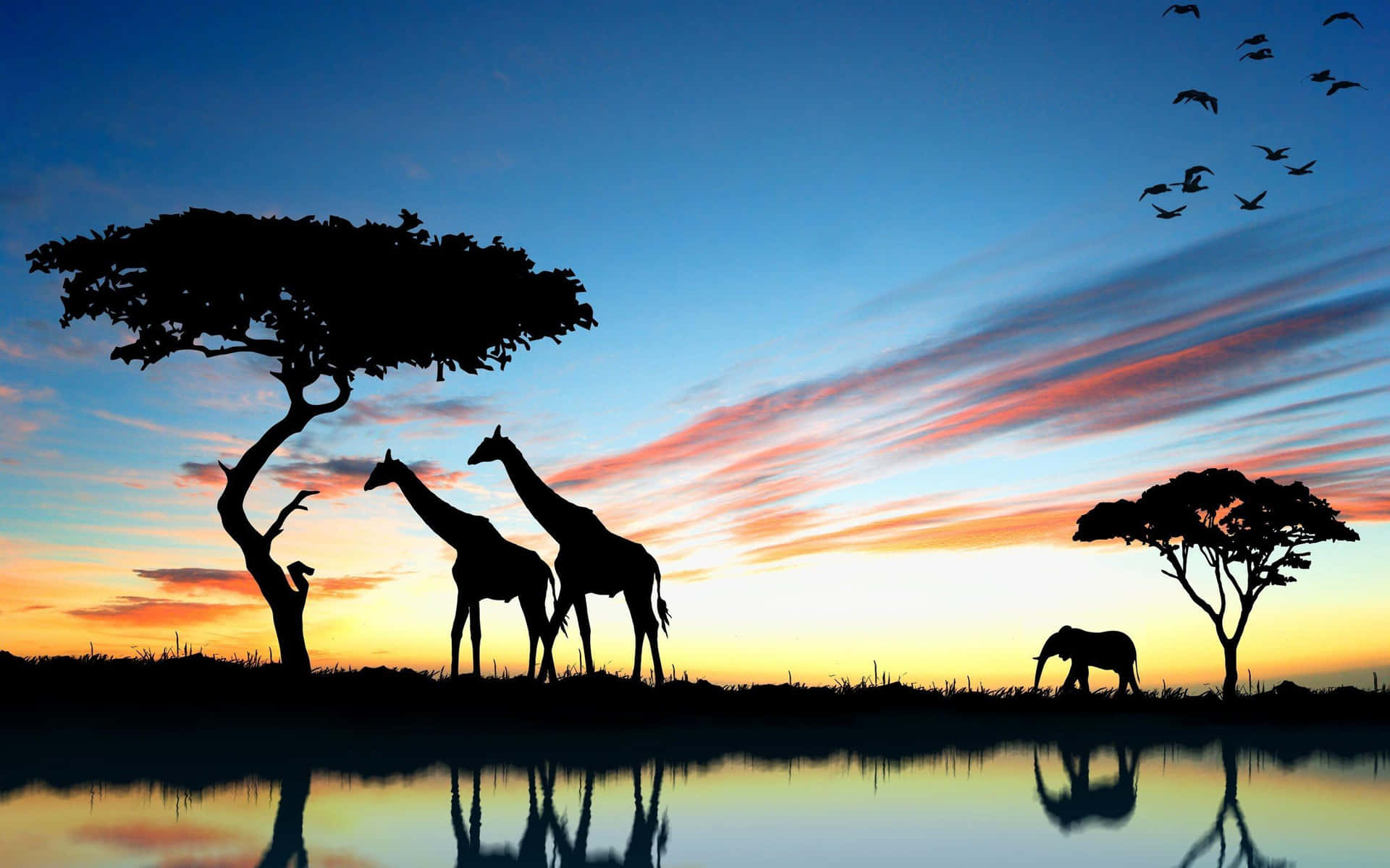 African Safari Sunset Silhouette Wallpaper