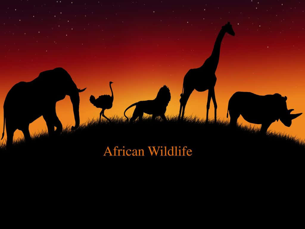 Witness the beauty of African wildlife in its natural habitat Wallpaper