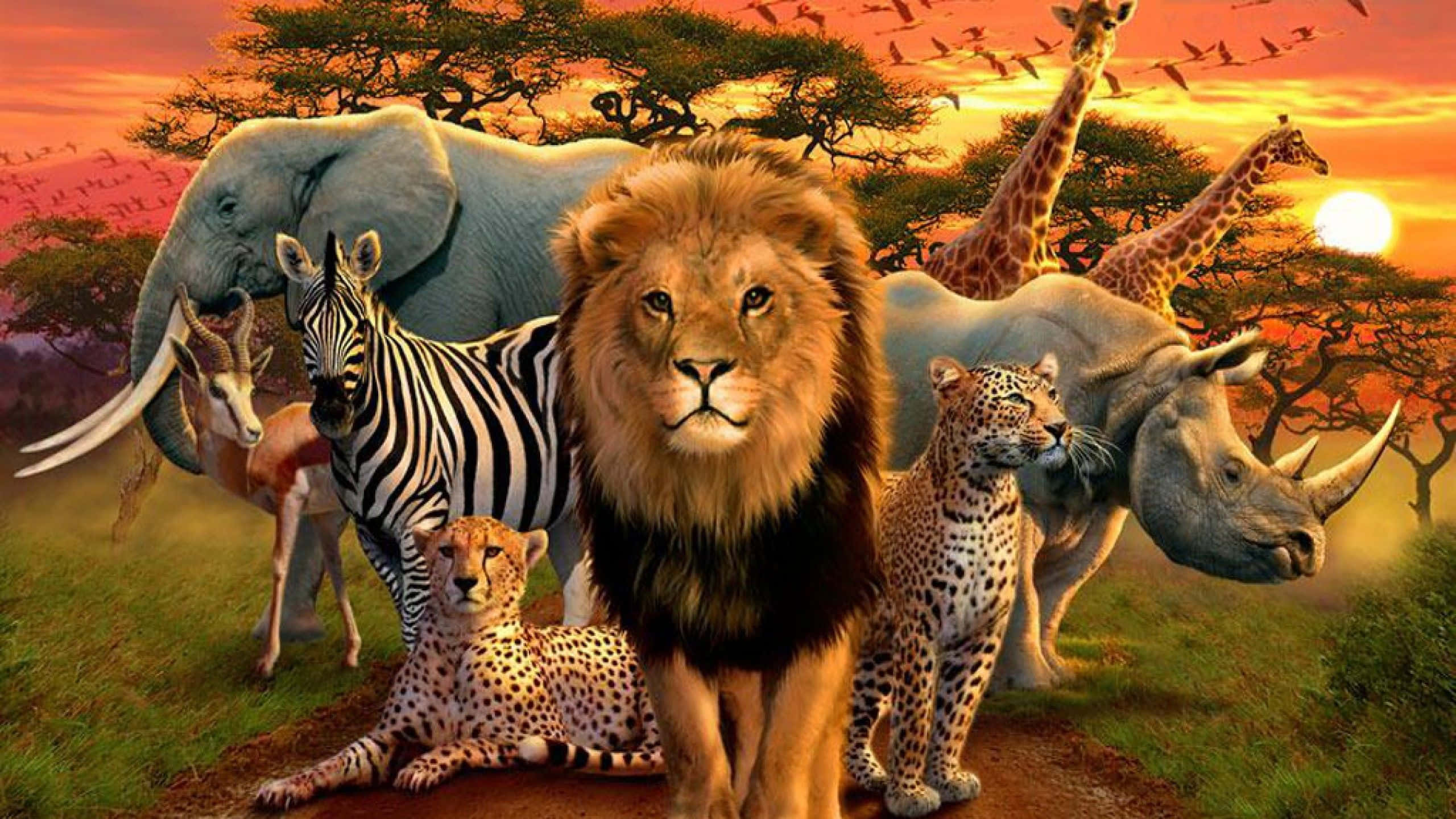 Afrikanischetiere Als Hintergrundbild
