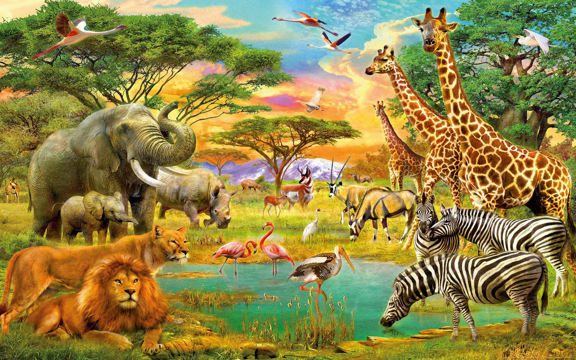 Afrikanskadjur Som Bakgrundsbild
