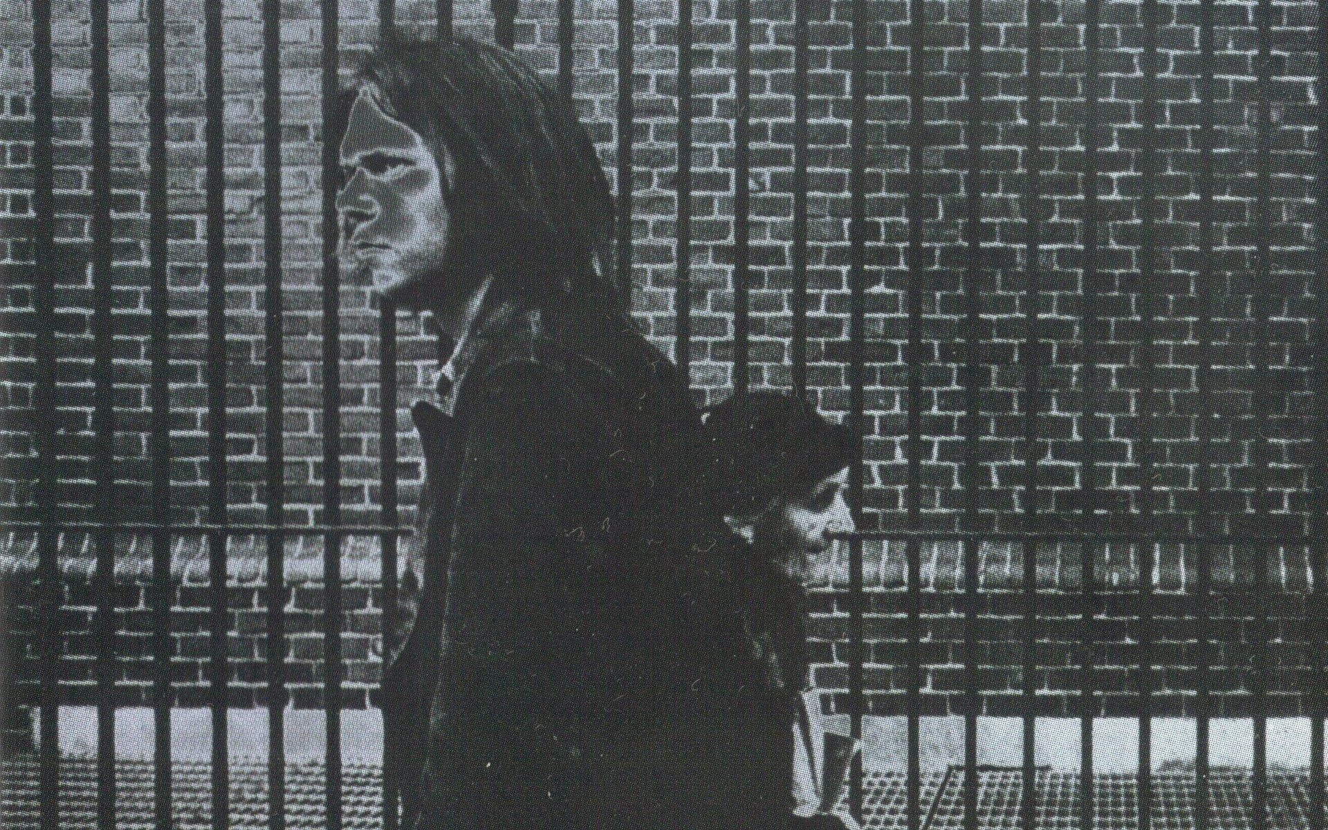 Despuésde La Fiebre Del Oro - Álbum De Estudio De Neil Young. Fondo de pantalla
