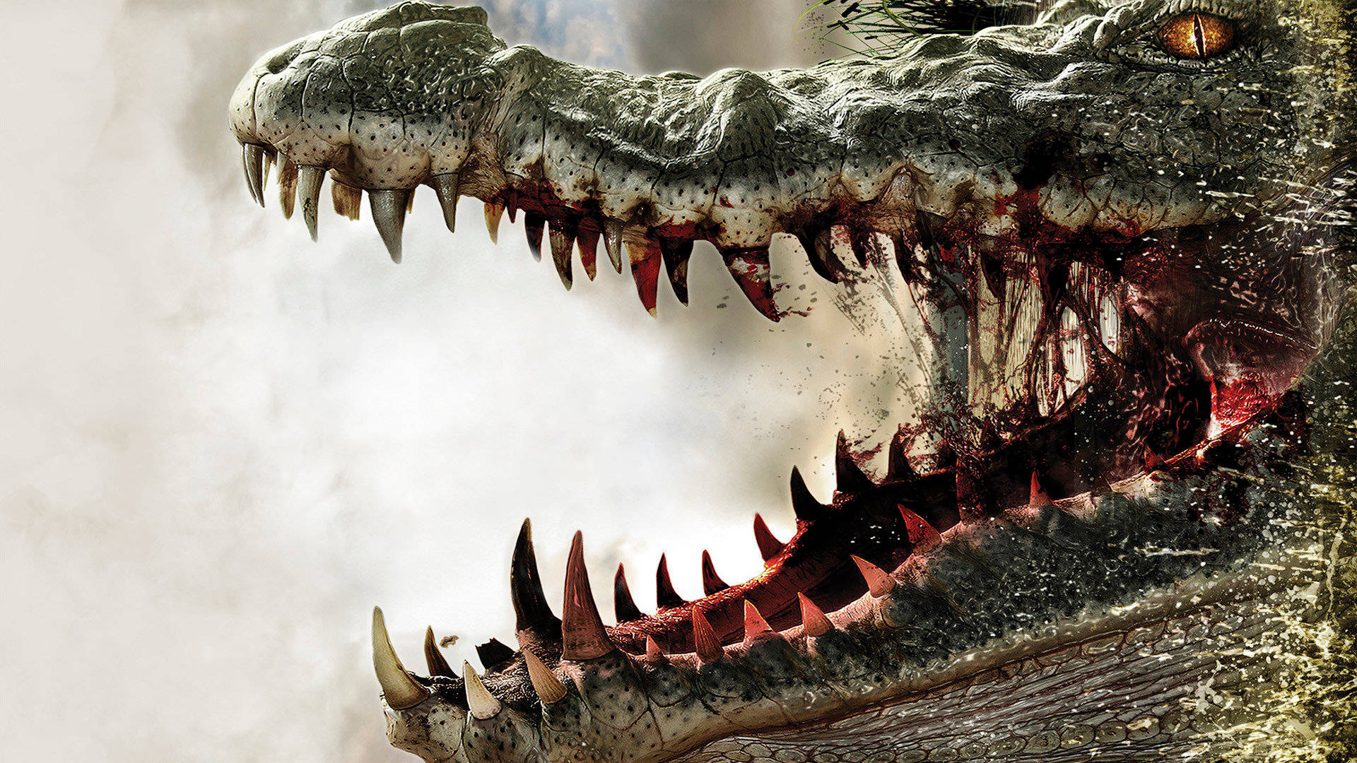Aggressiv predatorial alligator grafisk tapet Wallpaper
