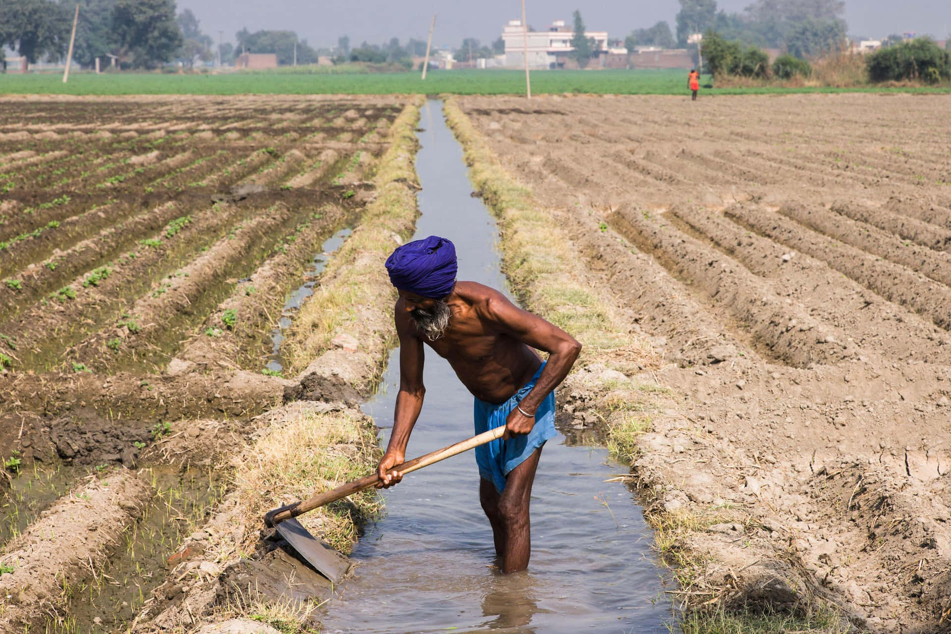 Agricoltorelaborioso In Mezzo Al Paesaggio Sereno