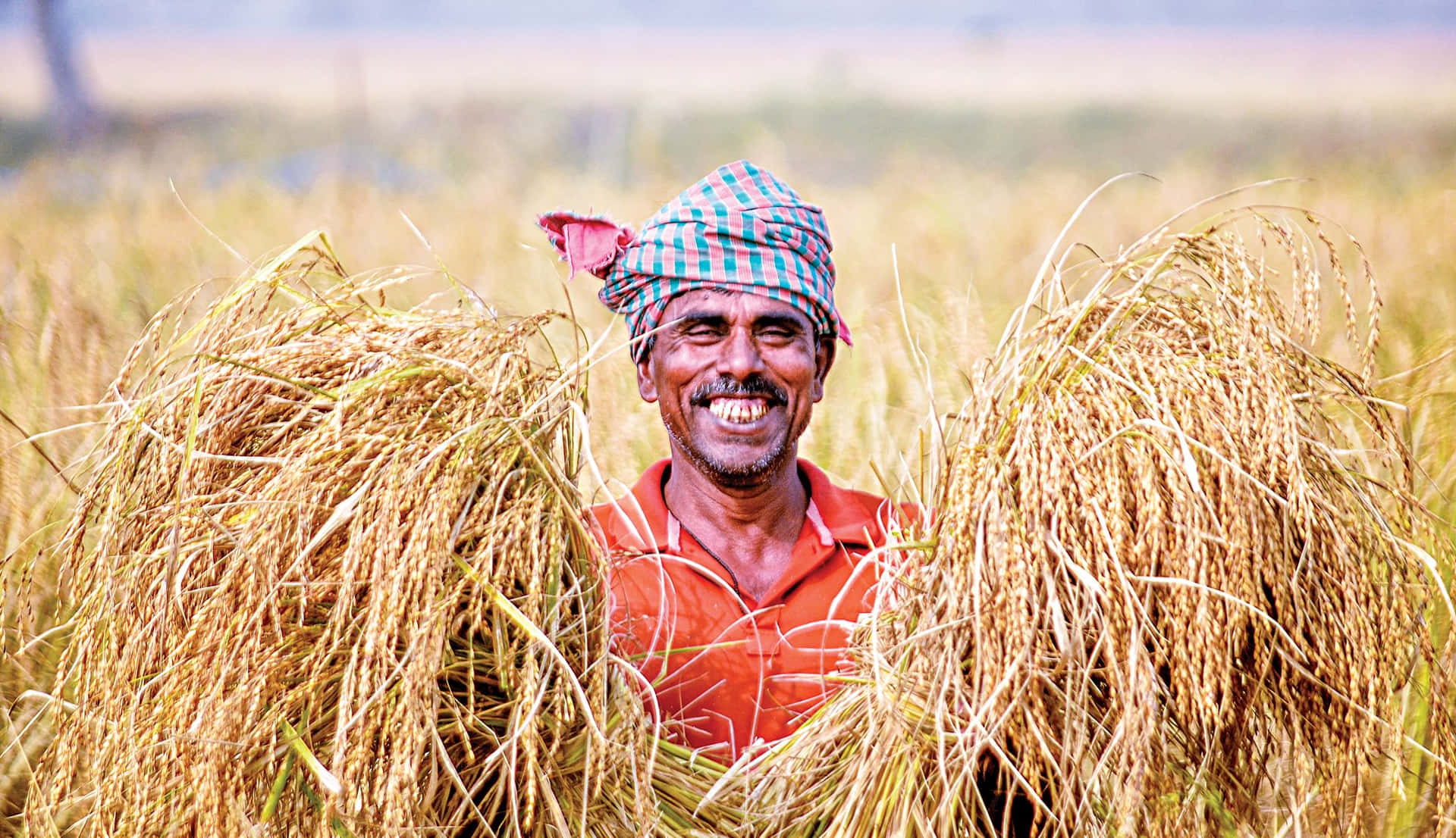 Agricoltorelaborioso Nei Campi