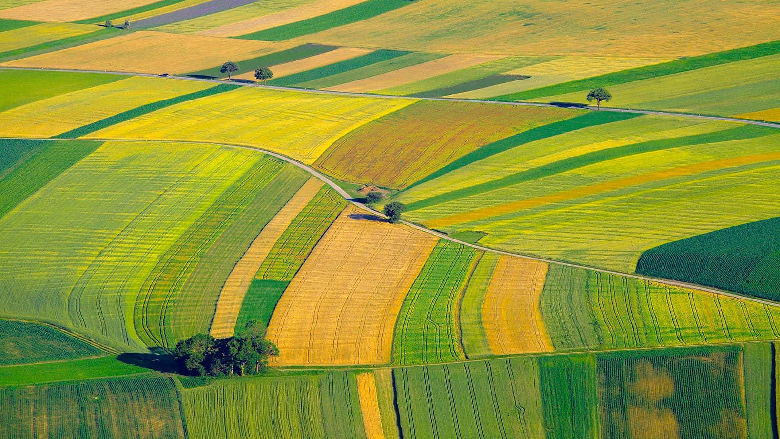 Etbillede Af Et Grønt Landbrugslandskab.