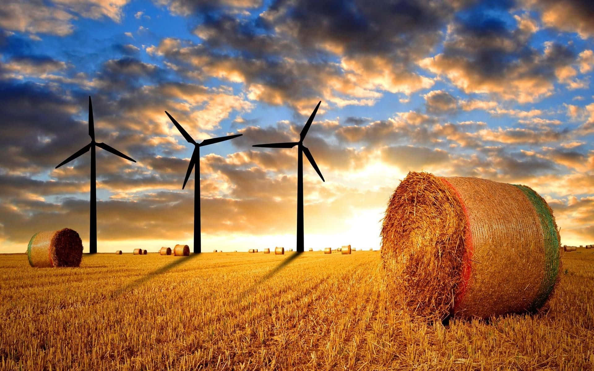 Wind Turbines In A Field With Bales Of Hay
