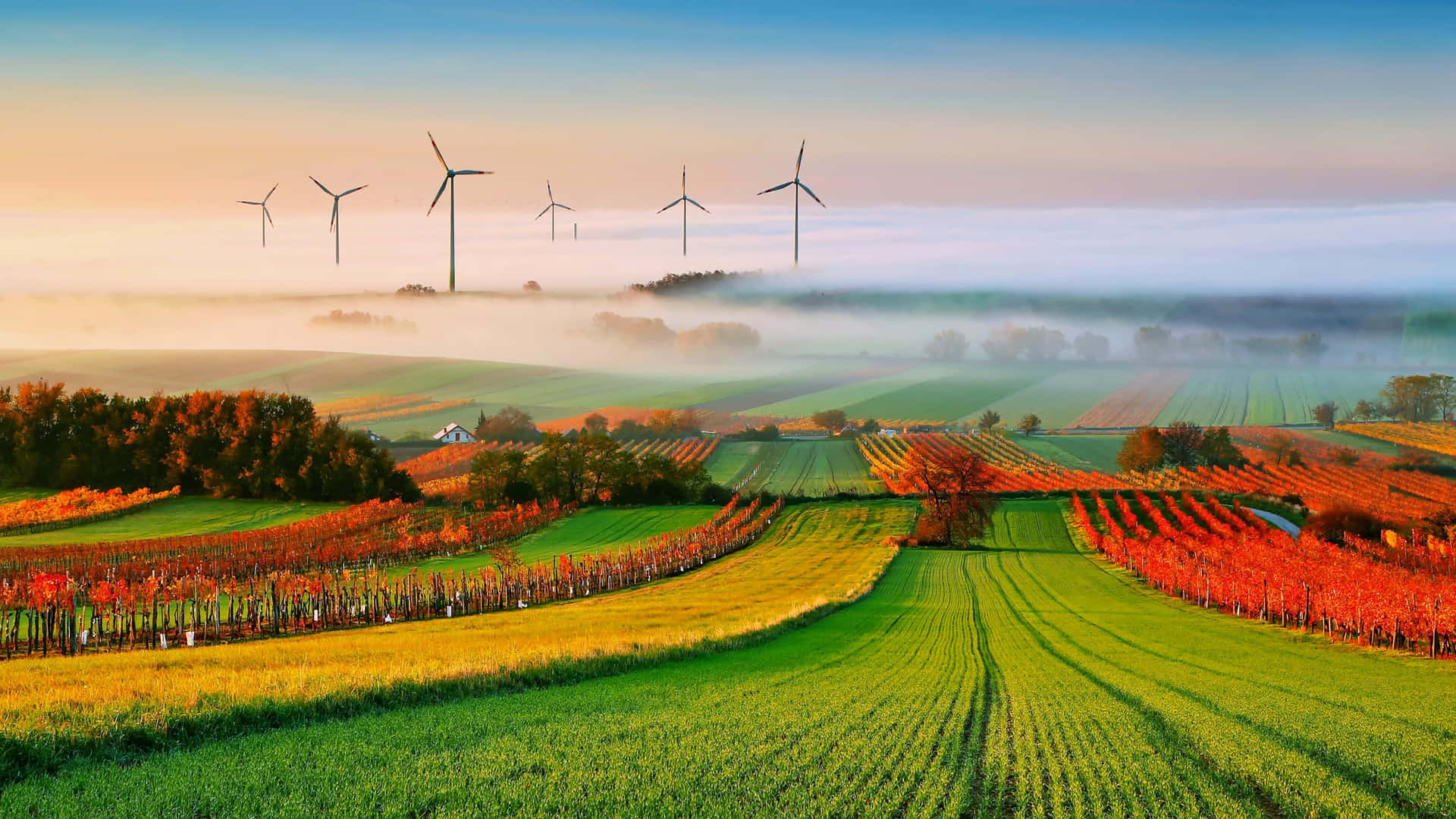 Wind Turbines In The Countryside With A Foggy Morning