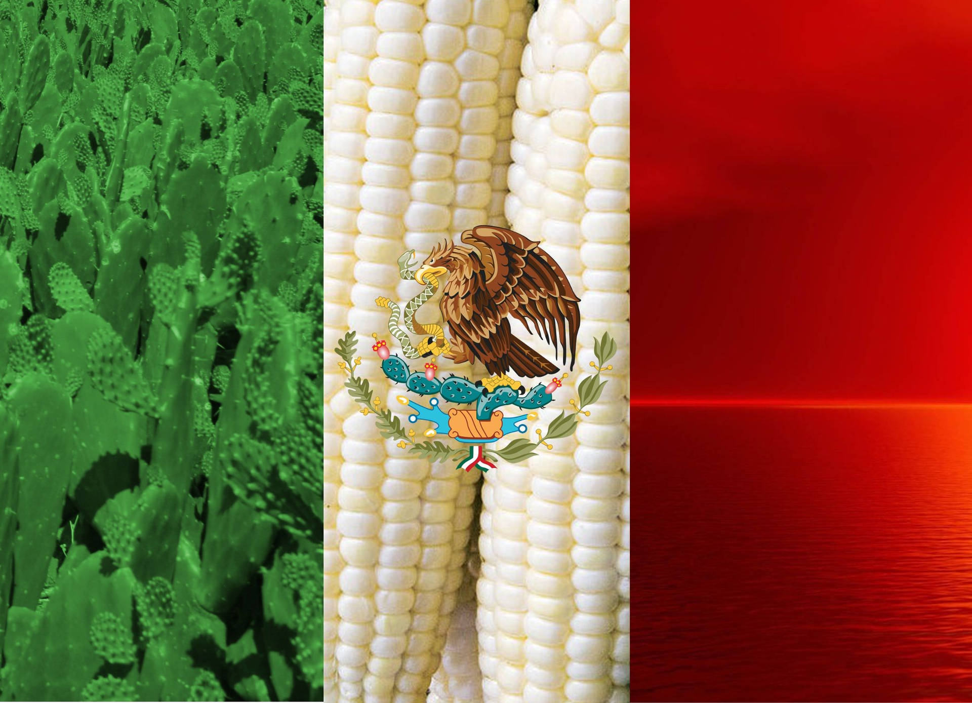 Vibrant Mexico Flag Embracing The Agricultural Richness Wallpaper
