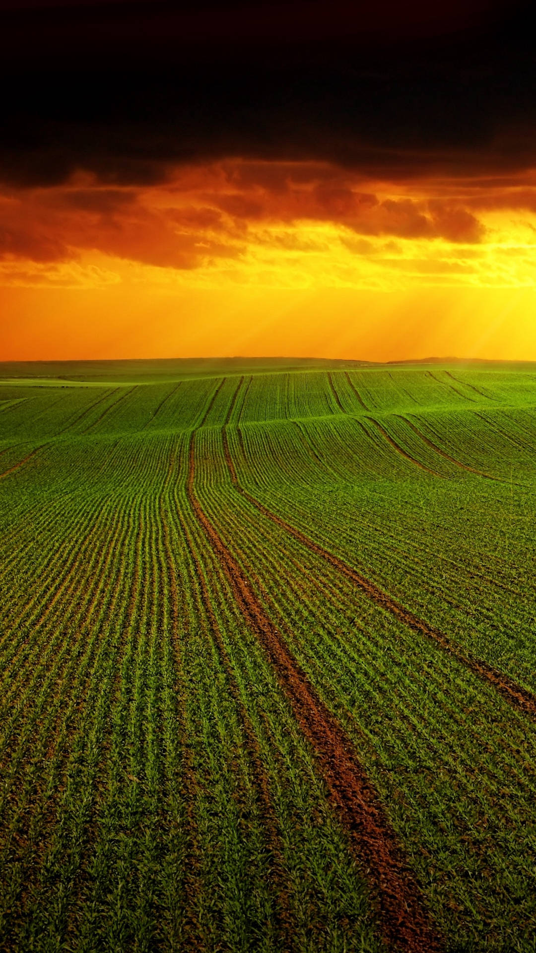 Agriculture Landscape And Sunset Wallpaper