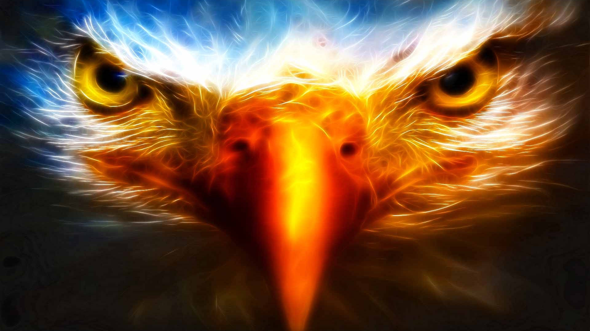 Aguila Bird Face Close-up Wallpaper