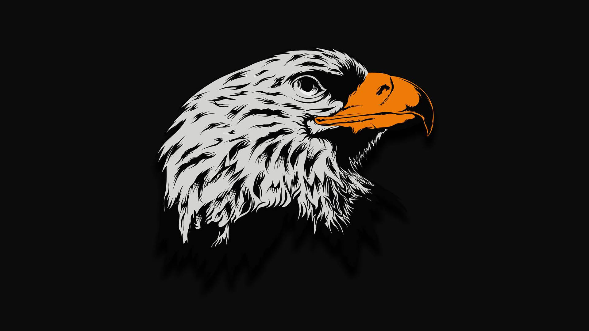 Aguila Bird Head Art Wallpaper