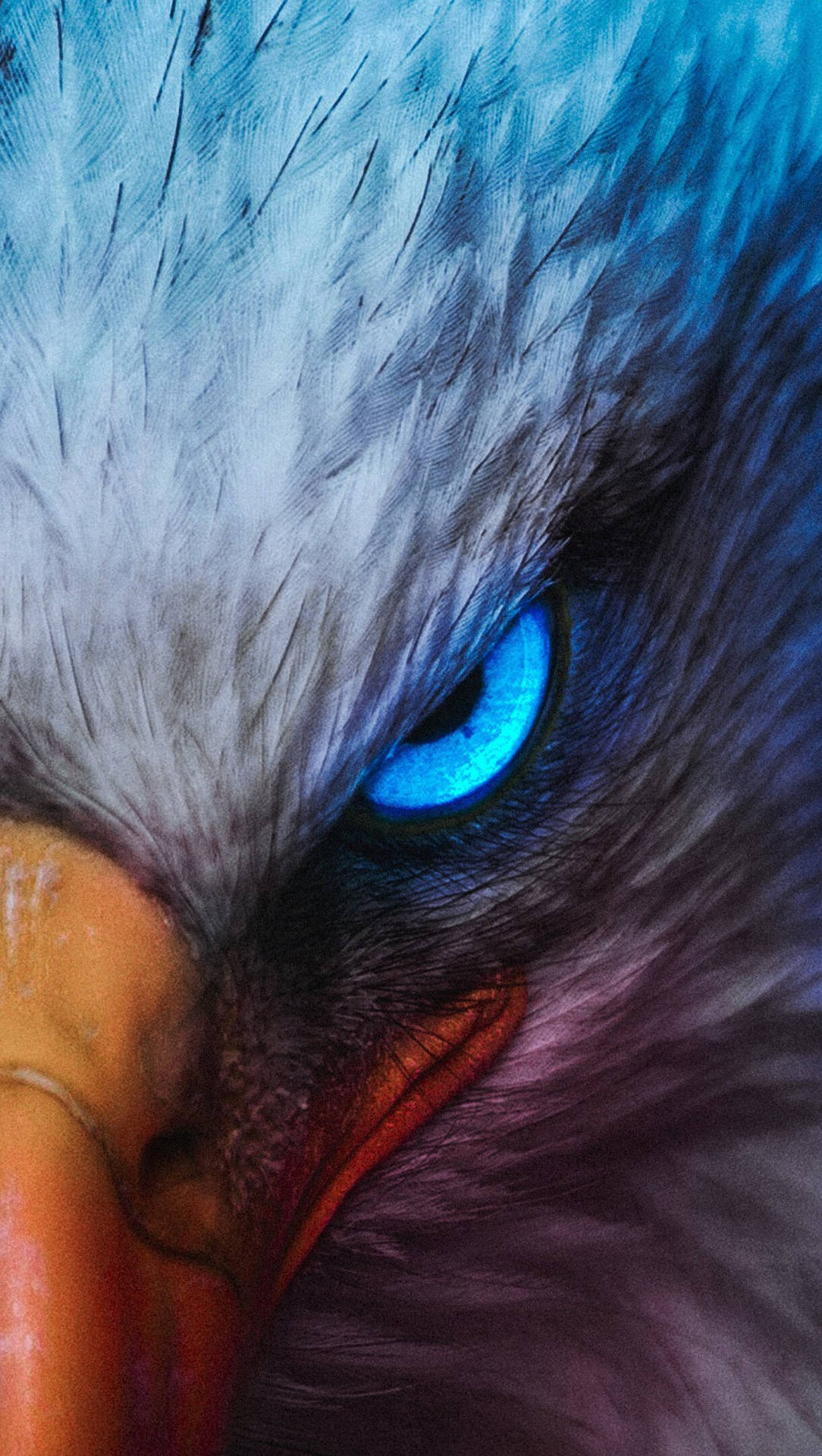 Águilacon Ojo Azul Brillante Y Afilado. Fondo de pantalla