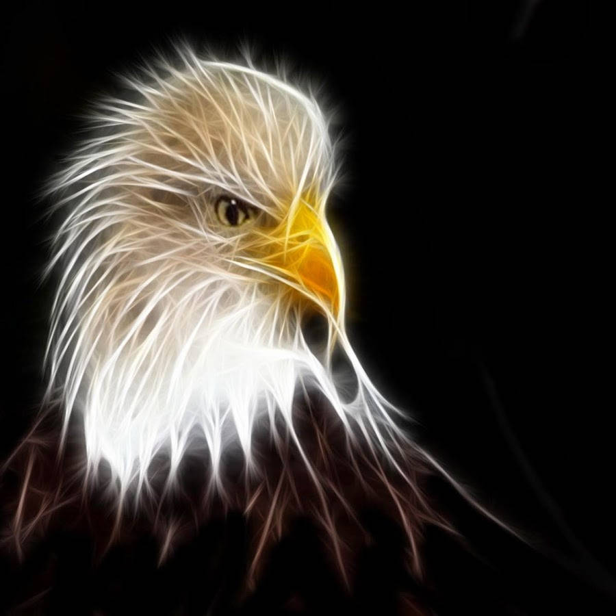 Aguila With Glowing White Feathers Digital Art Wallpaper