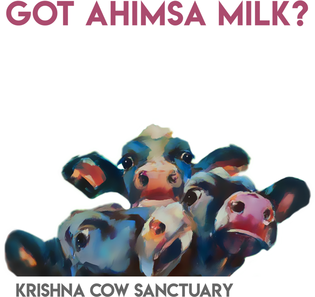 Ahimsa Milk Campaign Cows PNG