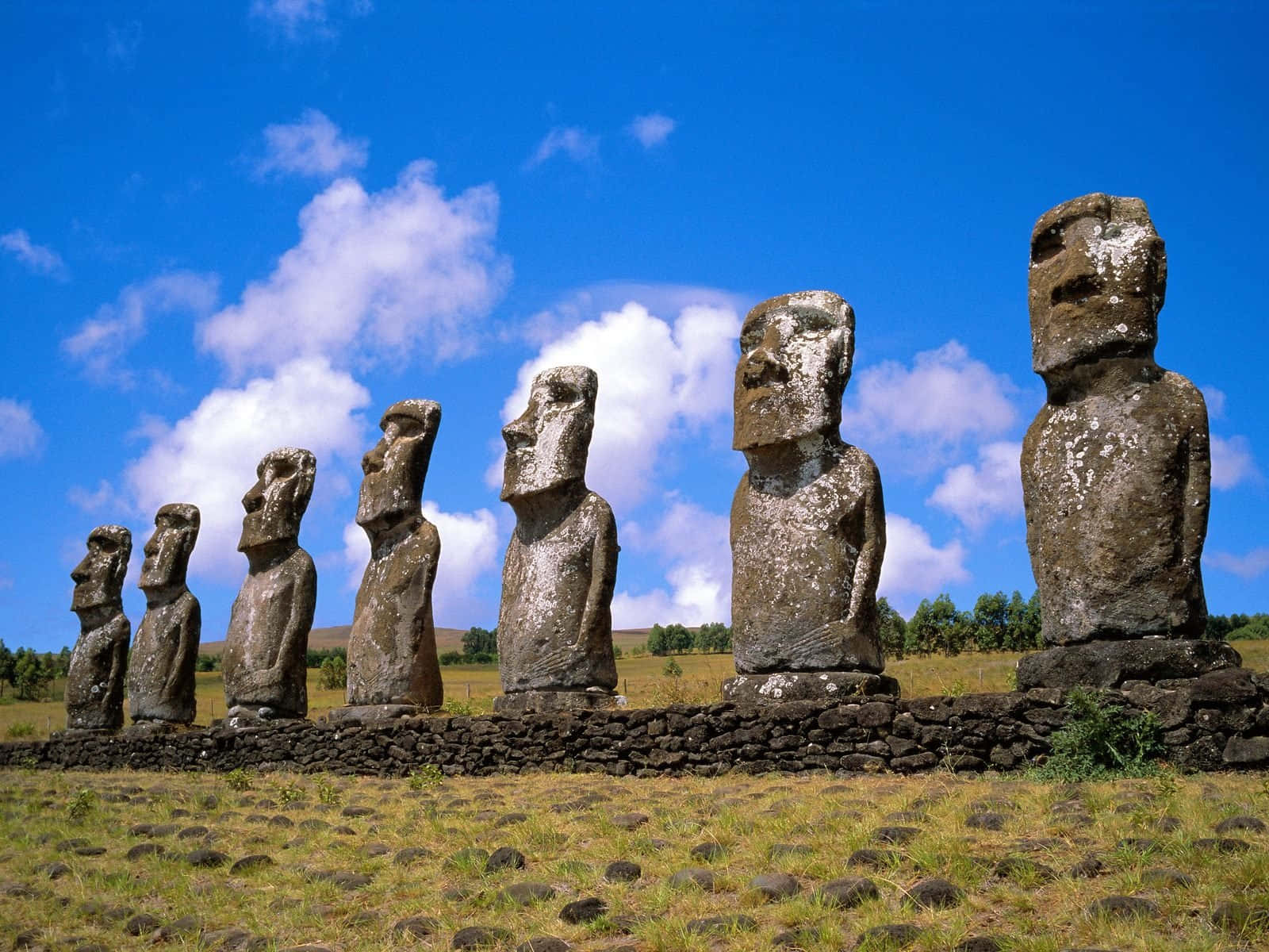 Ancient Moai Statues at Ahu Akivi, Chile Wallpaper