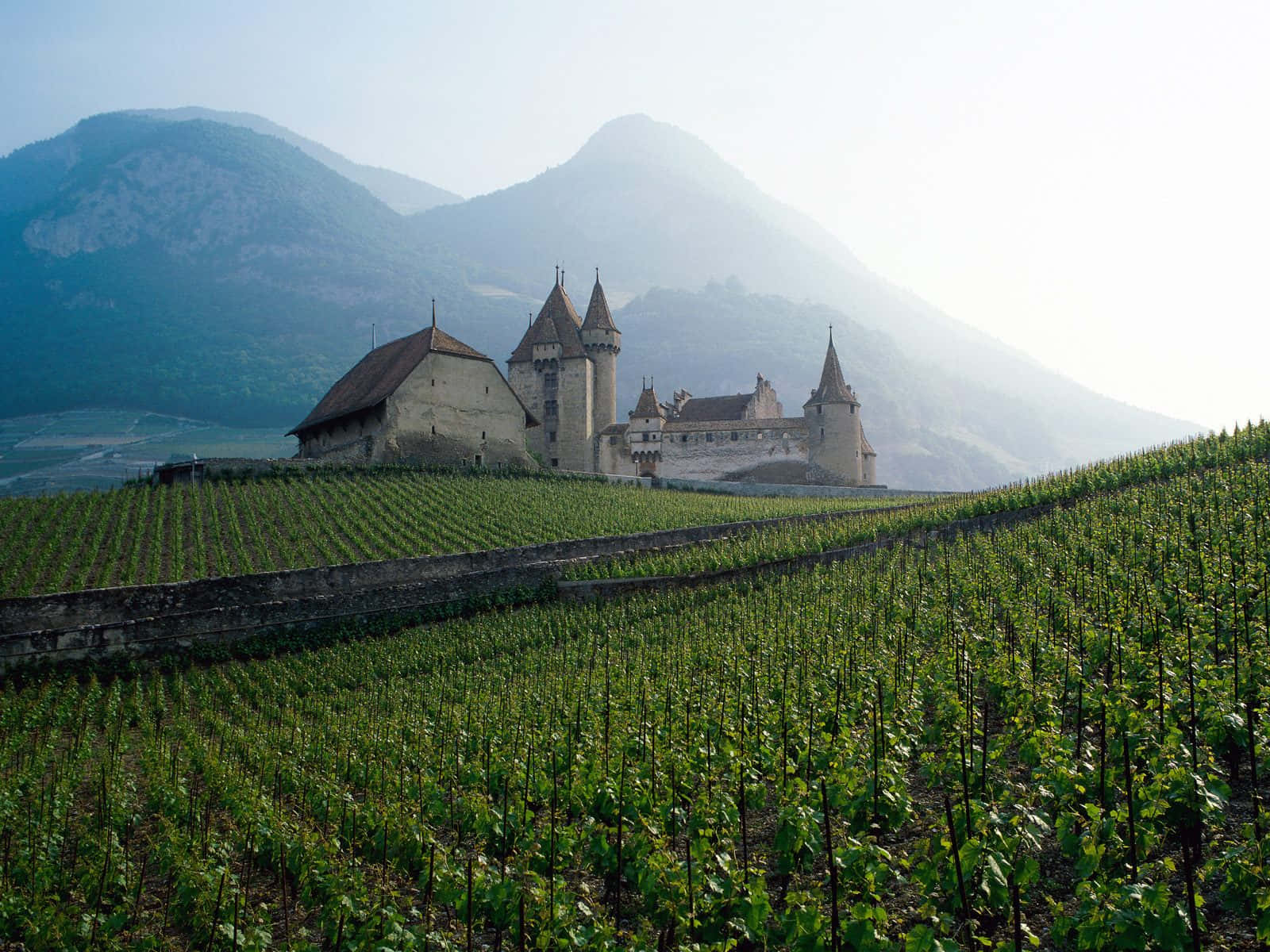 Aigle Castle Vaud Switzerland Countryside Wallpaper
