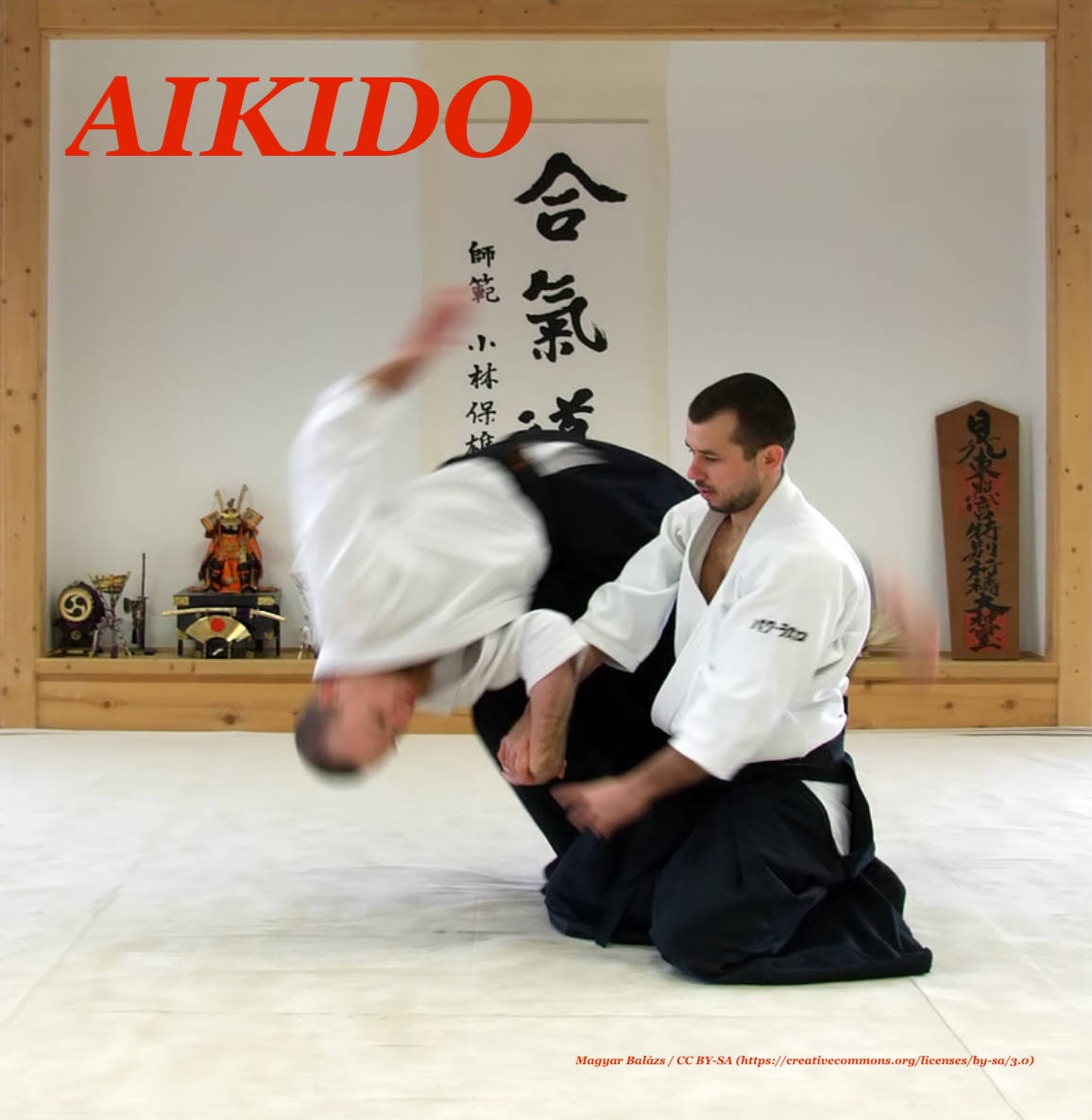 Aiki Nage Aikido Technique Digital Art Wallpaper
