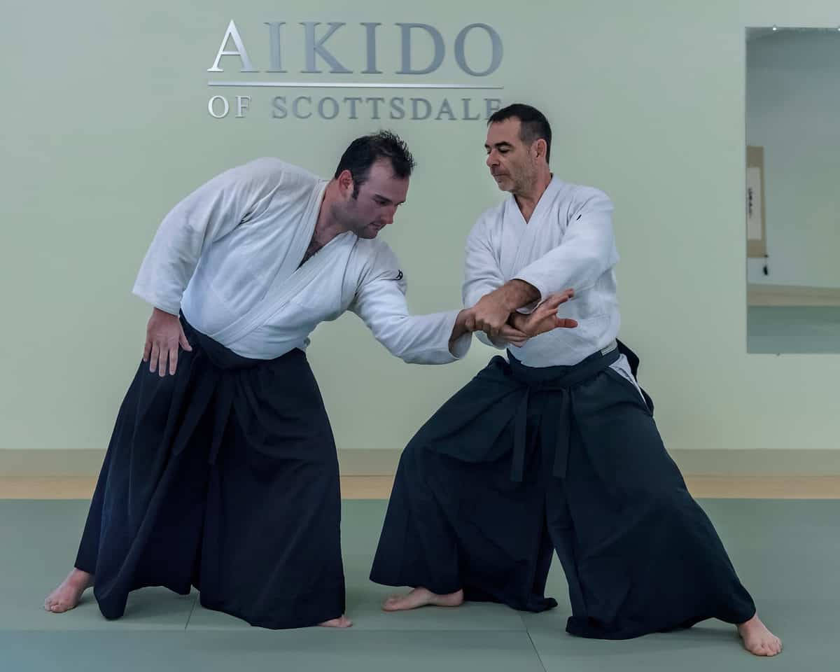 Professional Aikido Instructor Demonstrating the Nikyo Technique Wallpaper