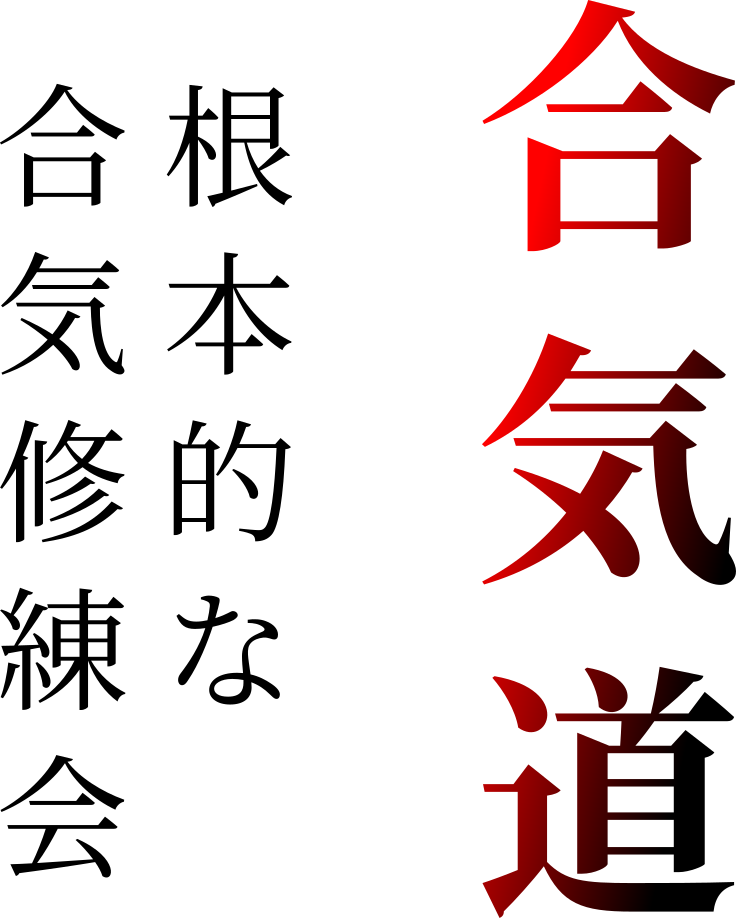 Aikido Kanji Artwork PNG