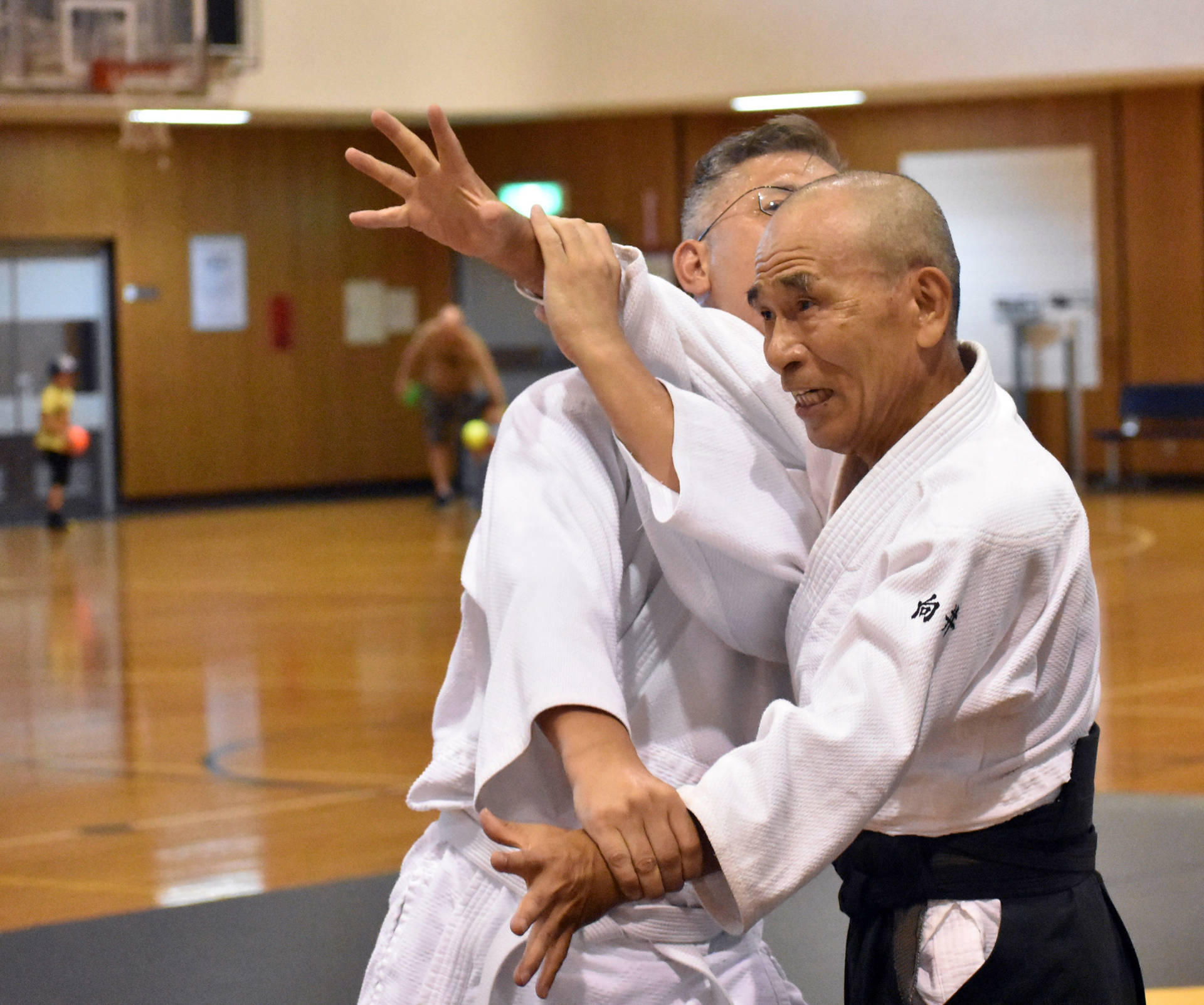Aikido Sensei Imparts Traditional Technique Wallpaper