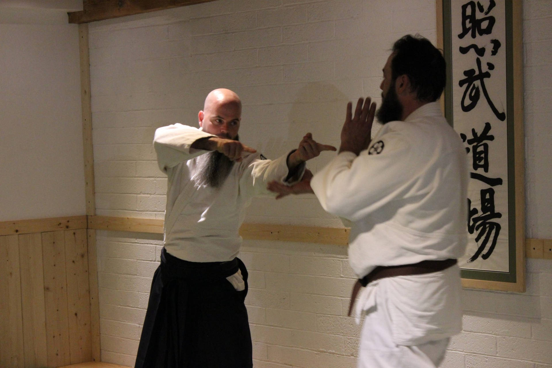 Aikido Sensei Teaching In Dojo Wallpaper