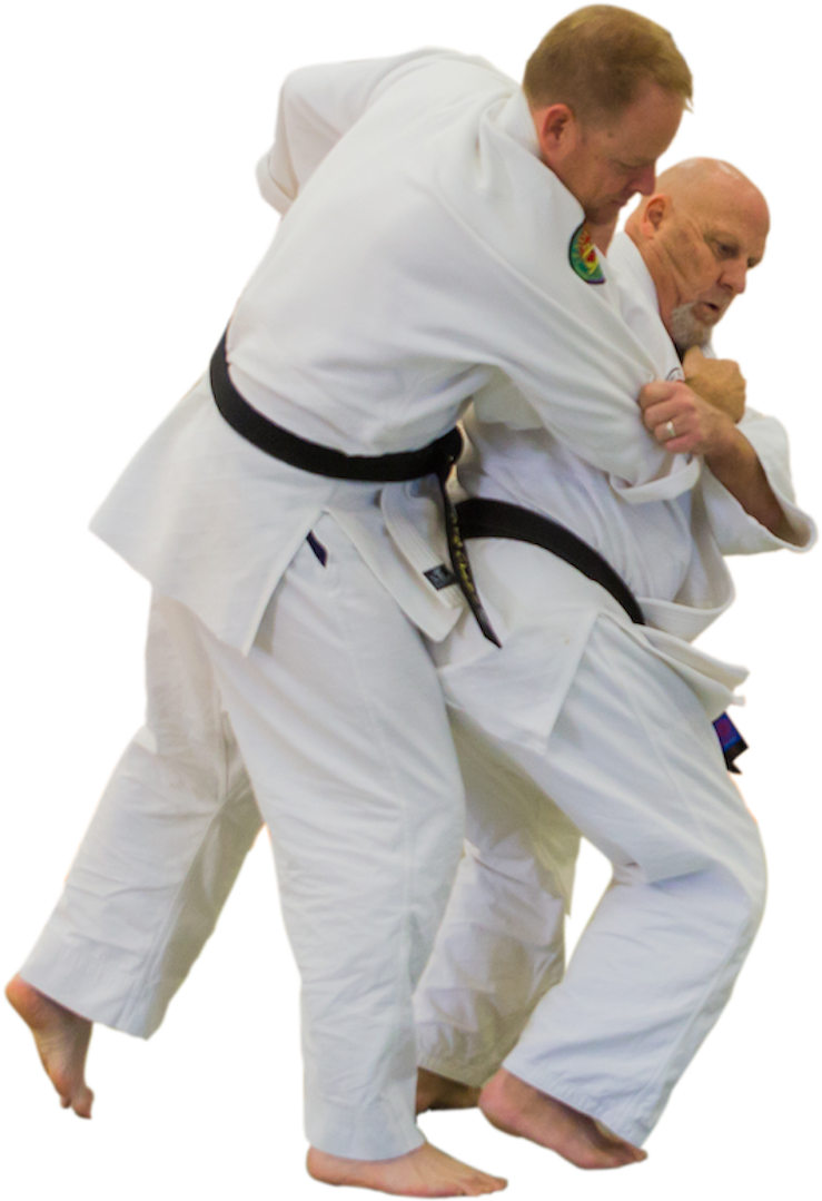 Aikido Technique Demonstration PNG