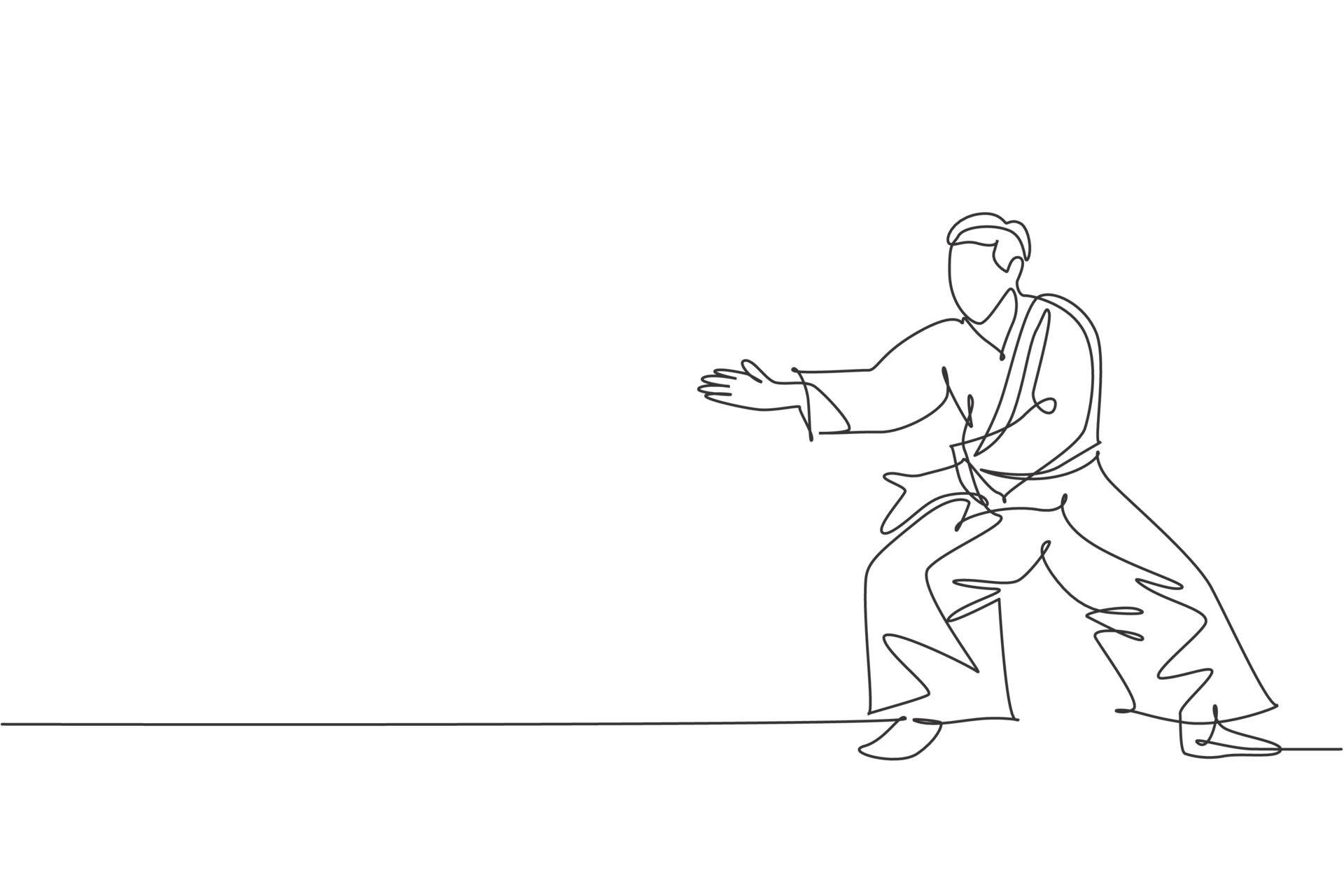 Practitioner Demonstrating Aikido Stance Wallpaper