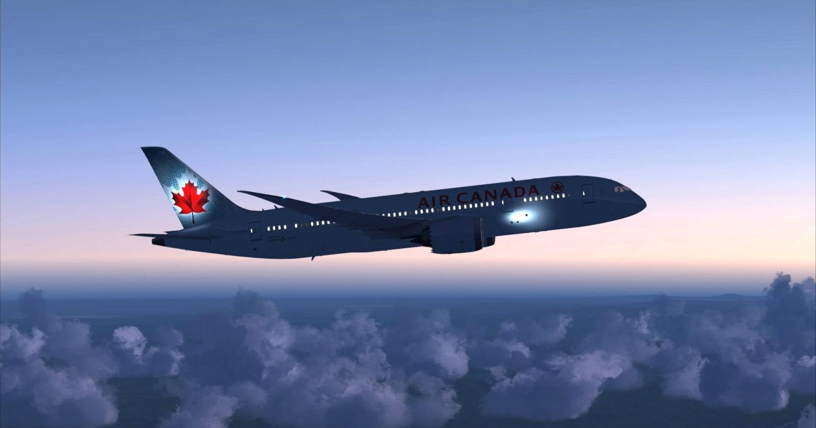 Flygplanfrån Air Canada Med Lönnlövlogga Wallpaper