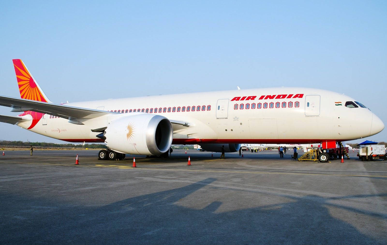 Air India Boeing B787 Dreamliner Fondo de pantalla