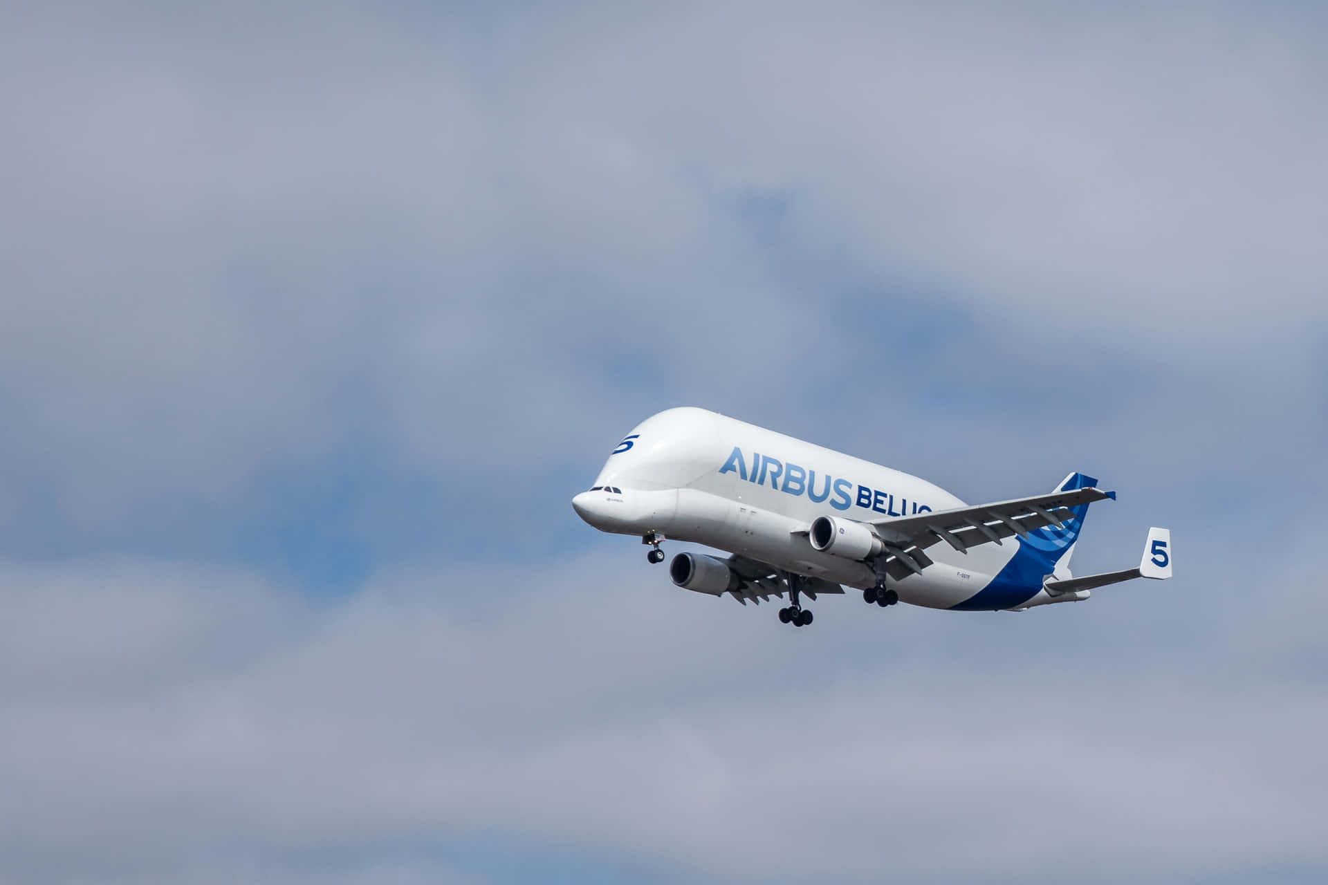 Download Airbus Beluga In Flight Wallpaper | Wallpapers.com