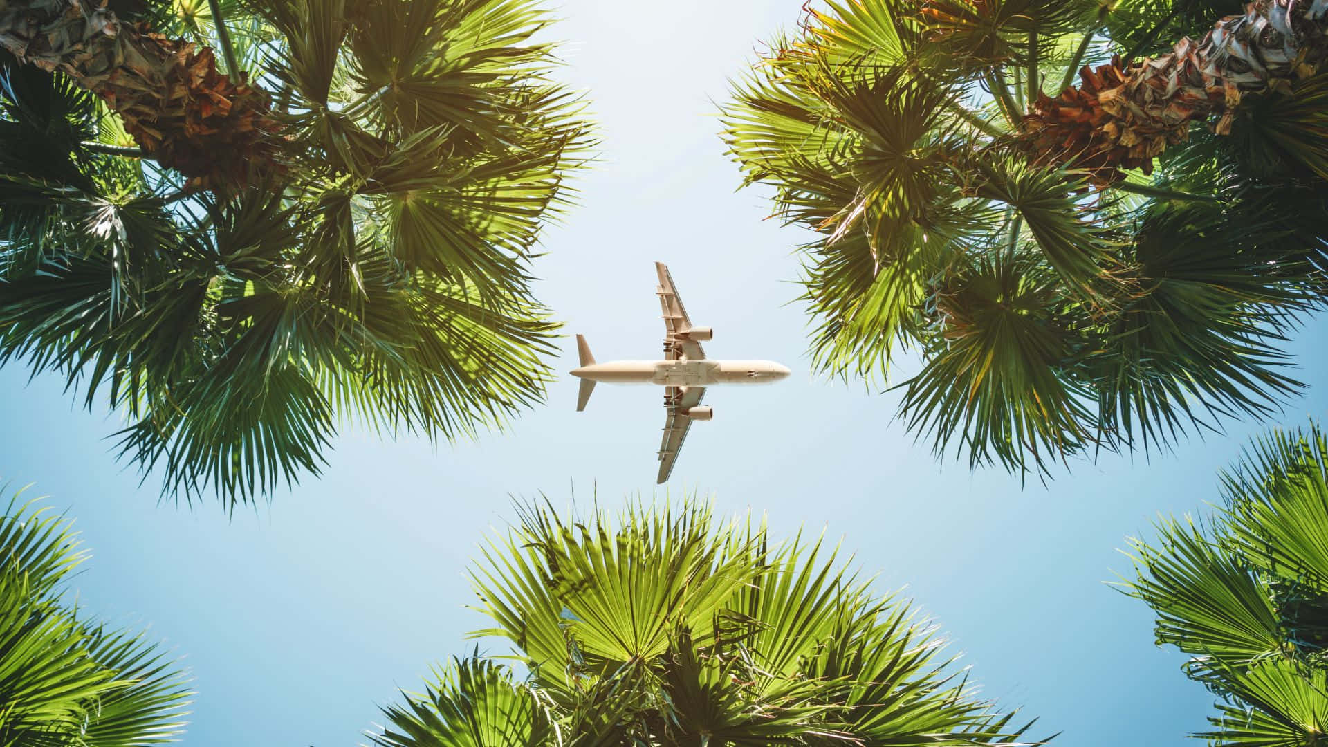 Airplane In Forest Desktop Background