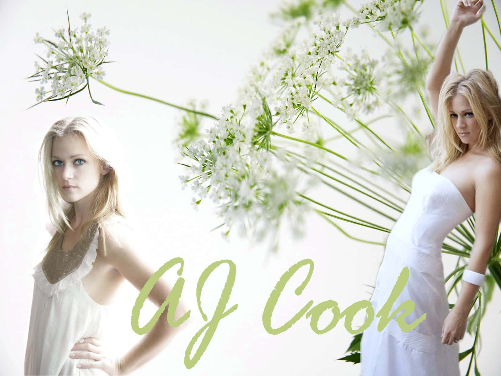 Stunning AJ Cook in an elegant photoshoot Wallpaper