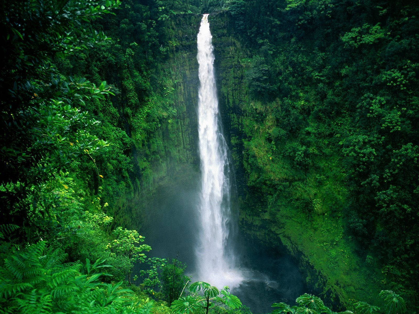 Akaka Waterfall