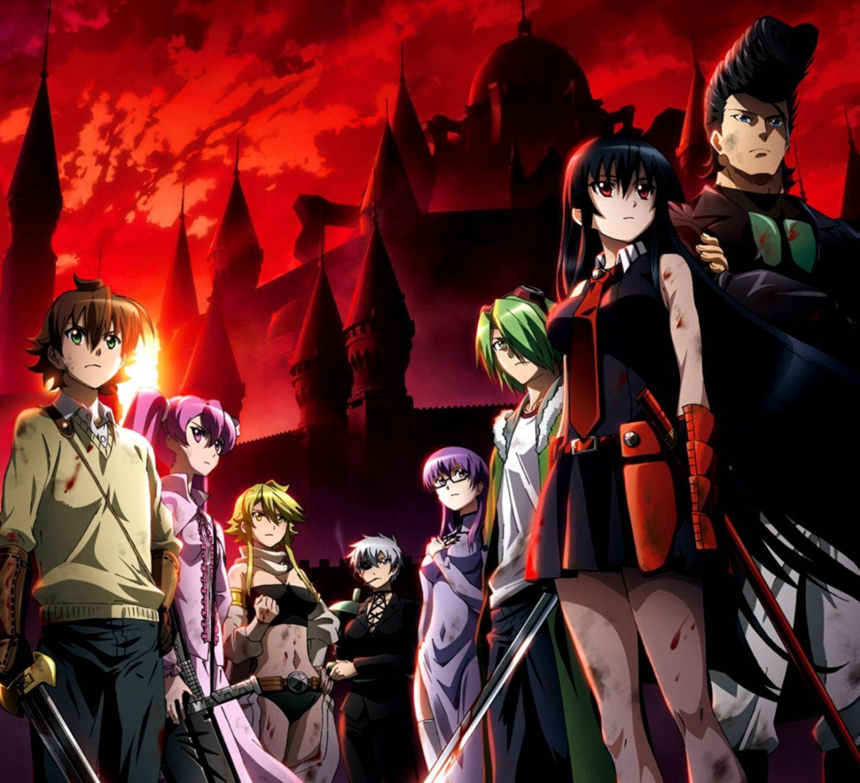 Akame Ga Kill Anime Digital Cover Background