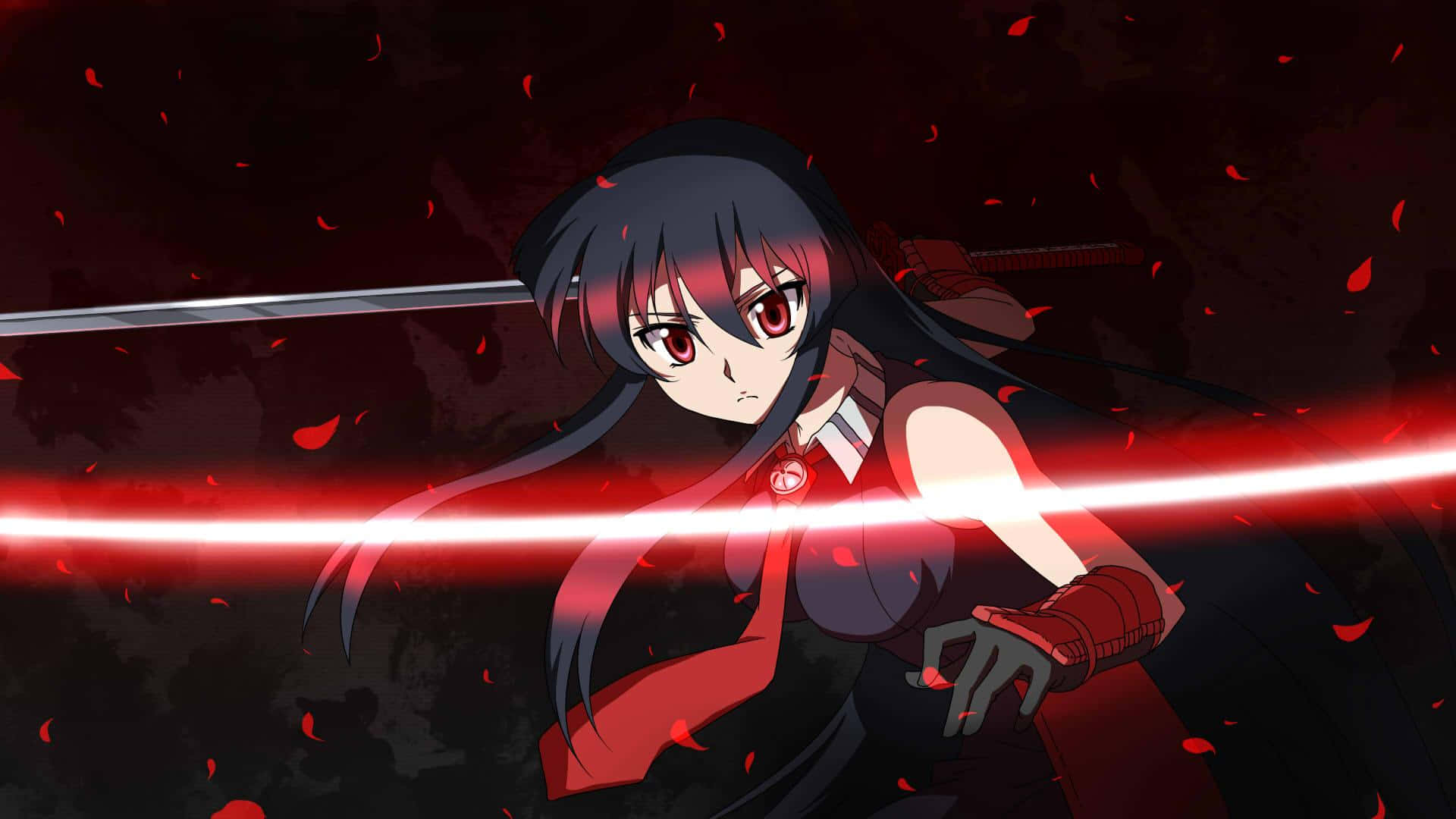 Akame Ga Kill - A world of danger and individual strength