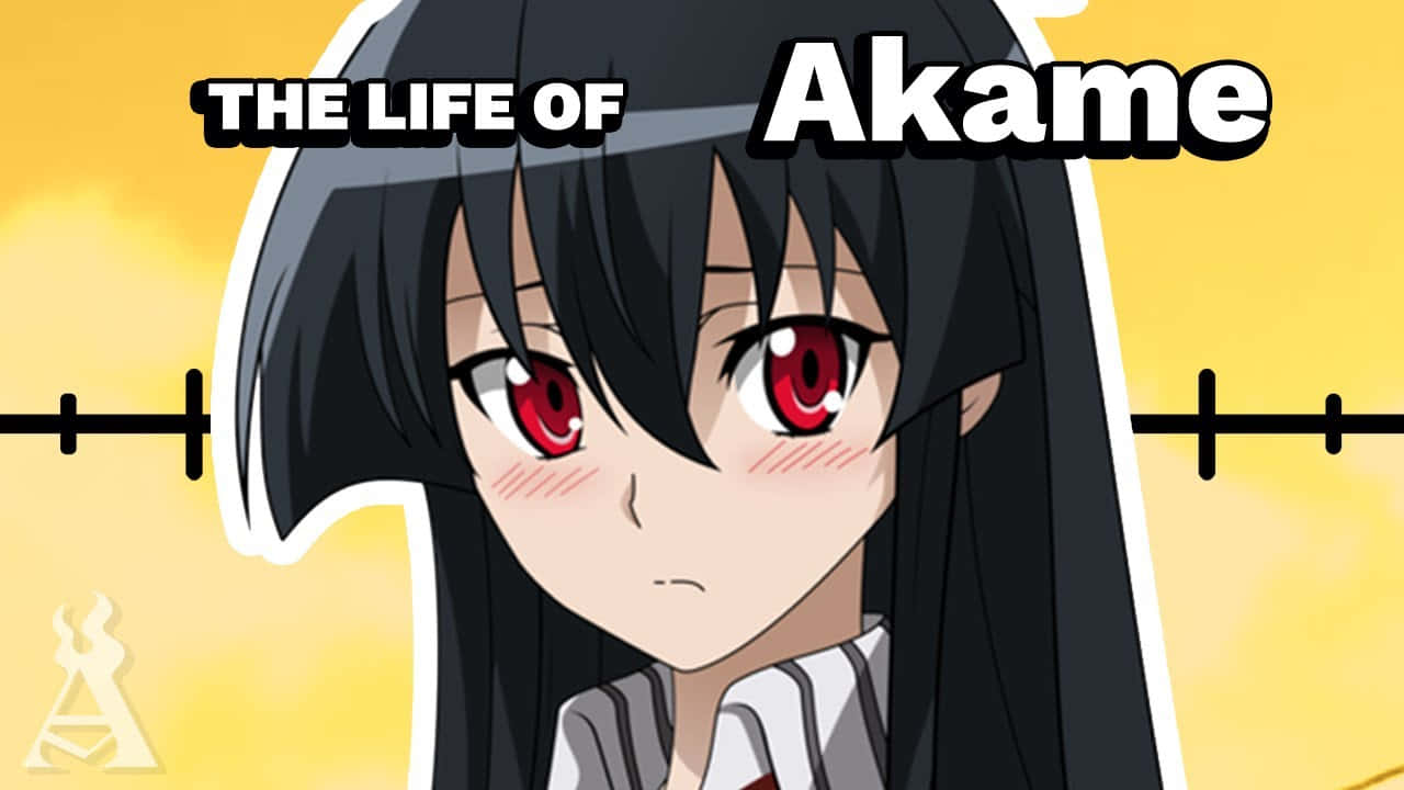 The Life Of Akame Ga Kill Picture