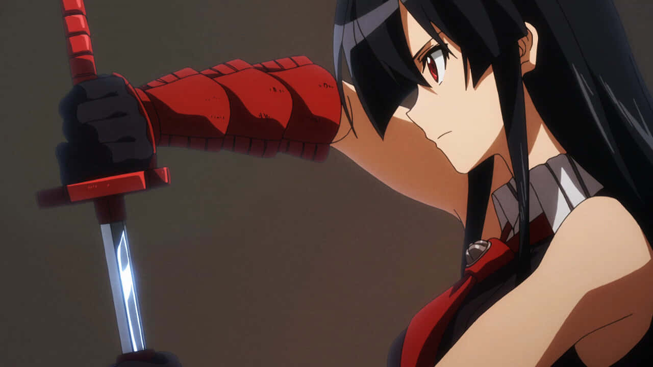 Akame Ga Kill With Sword Picture