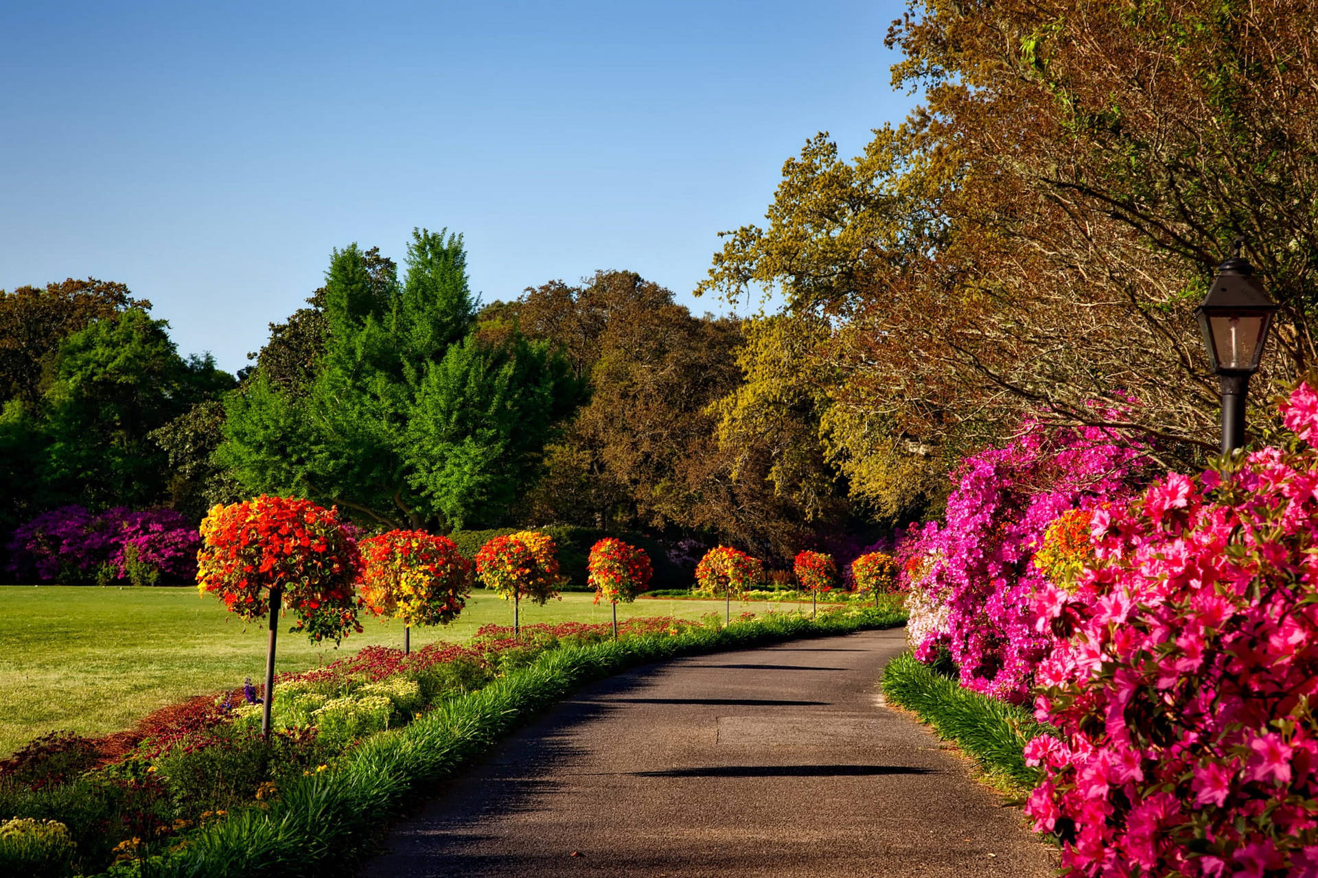 Alabama Bellingrath Gardens