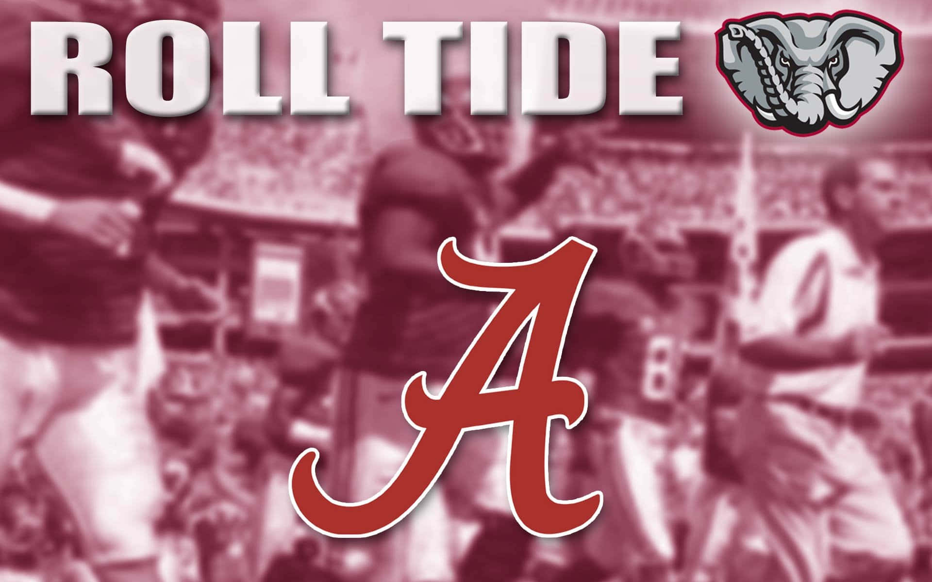 Show Your Alabama Crimson Tide Pride
