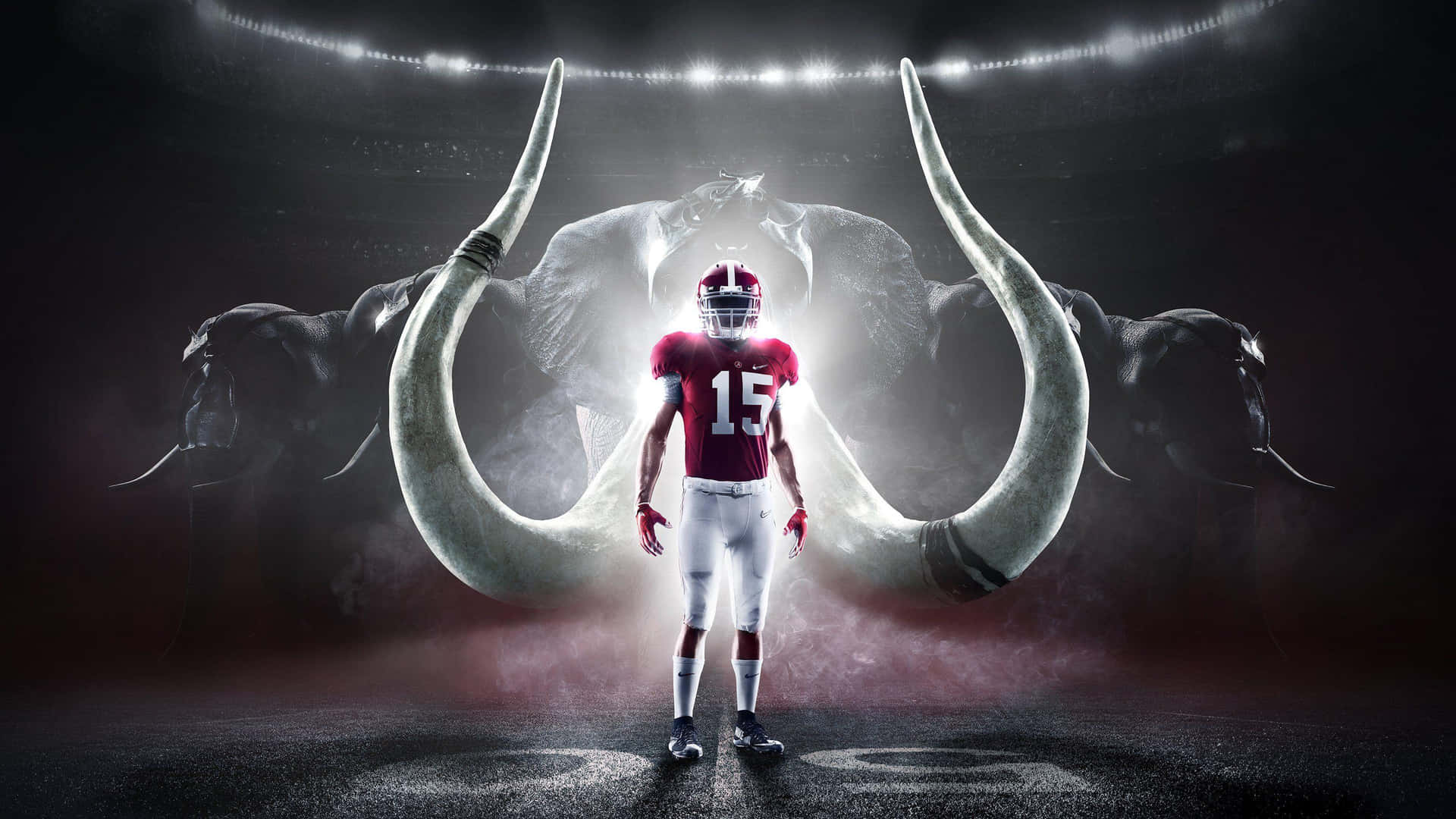Show Your Support for Alabama Crimson Tide.