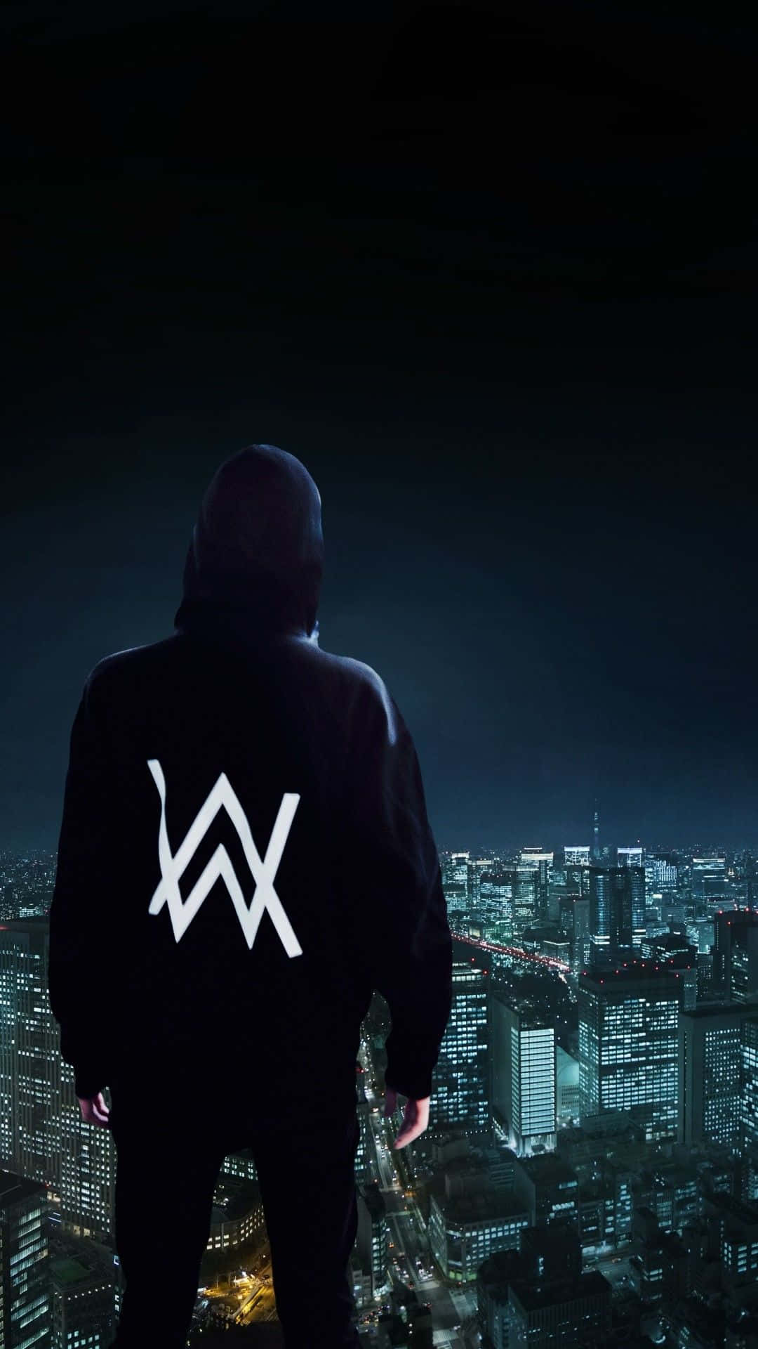 Alan Walker in concert with vibrant lights and visuals