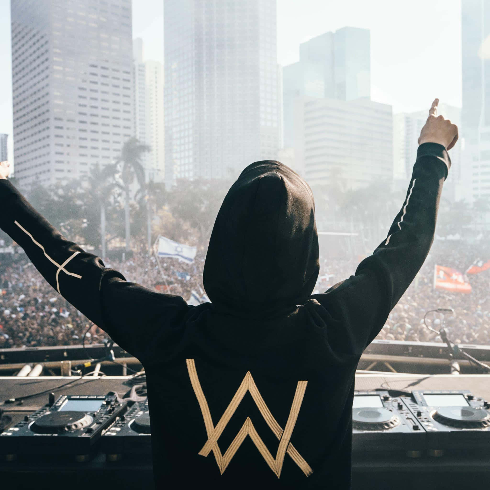 Alan Walker performing live on stage in his iconic hoodie and mask