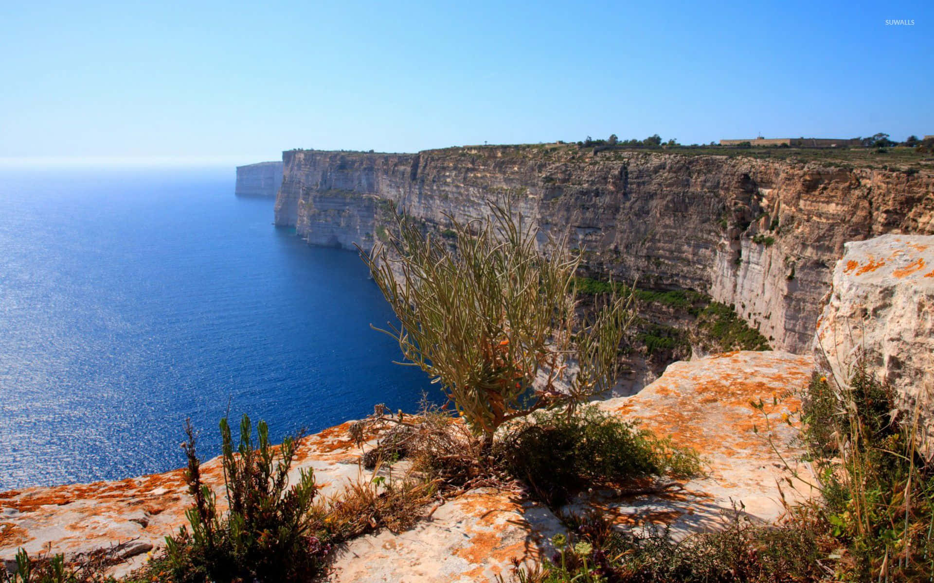 Albamaestosa Sulla Suggestiva Terra Di Malta