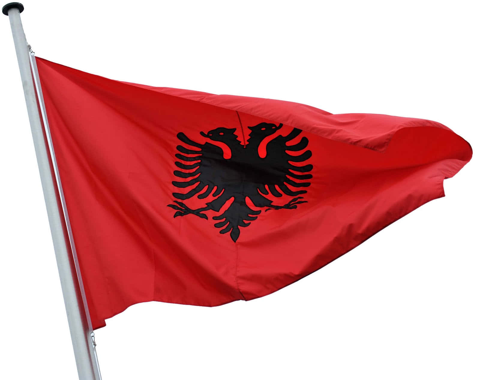 Albanskaflaggan - Xl