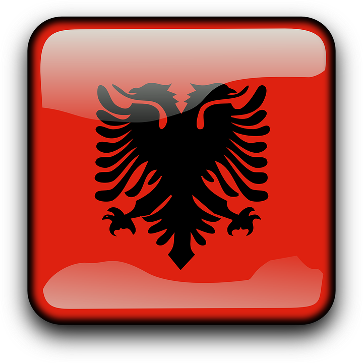 Albanian Eagle Icon PNG