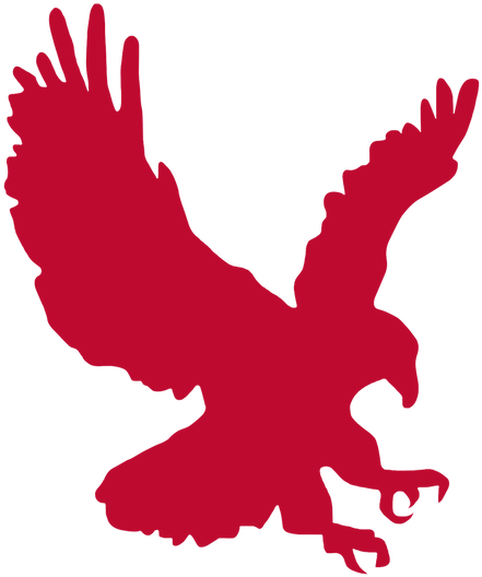 Albanian Eagle Silhouette PNG