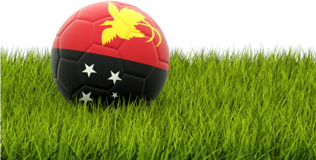 Albanian Flag Footballon Grass PNG