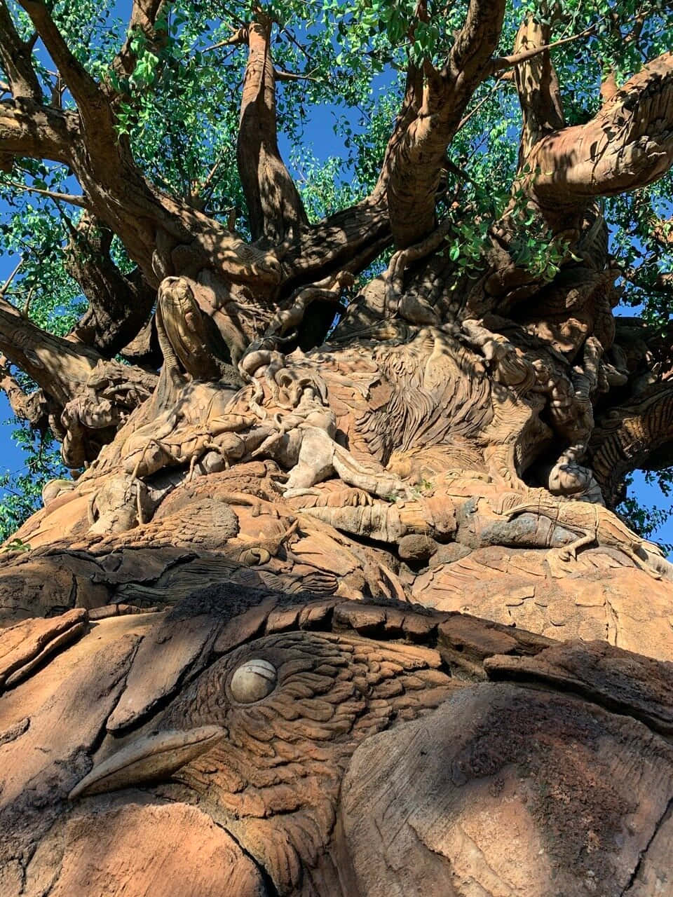 Alberodella Vita: Un Cancello Verso La Natura.